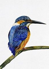 Kingfisher bird watercolour for sale  Delivered anywhere in UK