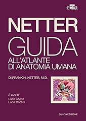 Netter guida all usato  Spedito ovunque in Italia 