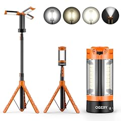 Ogery rechargeable 10000mah for sale  Delivered anywhere in USA 