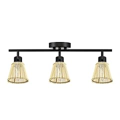 Globe electric light for sale  Delivered anywhere in USA 