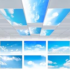 Vihose pcs fluorescent for sale  Delivered anywhere in USA 