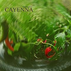 Cayenna vol. explicit d'occasion  Livré partout en France