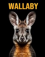 Wallaby fun facts for sale  Delivered anywhere in UK