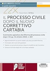 Processo civile dopo usato  Spedito ovunque in Italia 