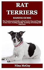 Rat terriers raising for sale  Delivered anywhere in UK