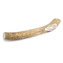 Prairie dog pet for sale  Delivered anywhere in USA 
