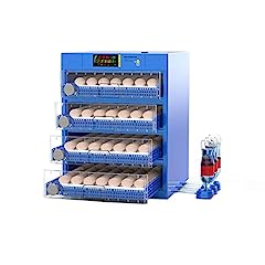 256 eggs automatic for sale  Delivered anywhere in USA 
