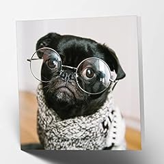 Maturi pug glasses for sale  Delivered anywhere in UK