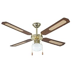 Ventilatore soffitto con usato  Spedito ovunque in Italia 
