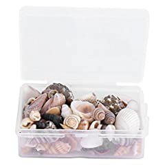 Mixed sea shells for sale  Delivered anywhere in UK
