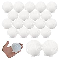 Tyeqwt blanc coquilles d'occasion  Livré partout en France