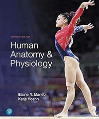 Human anatomy physiology for sale  Delivered anywhere in USA 