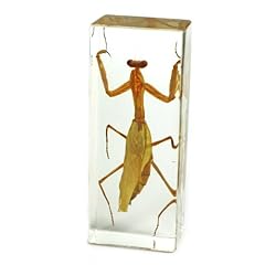 Realbug praying mantis for sale  Delivered anywhere in USA 