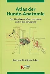 Atlas hunde anatomie gebraucht kaufen  Wird an jeden Ort in Deutschland