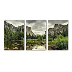 Yosemite national park for sale  Delivered anywhere in USA 