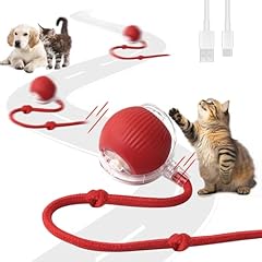 Afaneep interaktives katzenspi gebraucht kaufen  Wird an jeden Ort in Deutschland