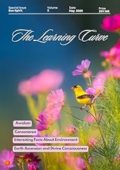 The learning curve gebraucht kaufen  Wird an jeden Ort in Deutschland