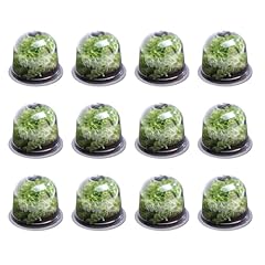 Idmarket cloche salades d'occasion  Livré partout en France