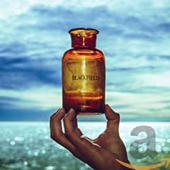 Blackfield gebraucht kaufen  Wird an jeden Ort in Deutschland