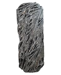 Orthoceras giant plate for sale  Delivered anywhere in UK