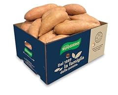 Patate ruggiero dolci usato  Spedito ovunque in Italia 