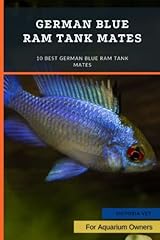 German blue ram for sale  Delivered anywhere in UK