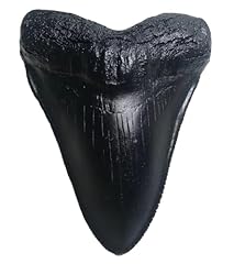 Yabina megalodon replica usato  Spedito ovunque in Italia 