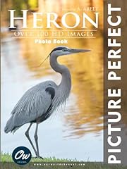 Heron picture perfect for sale  Delivered anywhere in UK