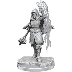 Wizkids meravigliose miniature usato  Spedito ovunque in Italia 