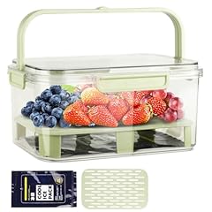 Fruit storage berry for sale  Delivered anywhere in USA 