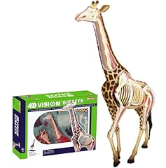 Xiaoxu vision giraffe gebraucht kaufen  Wird an jeden Ort in Deutschland