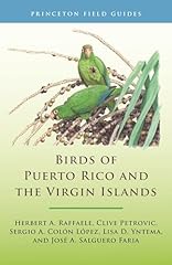 Birds puerto rico for sale  Delivered anywhere in USA 