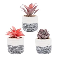 Viverie 3pcs fake for sale  Delivered anywhere in USA 