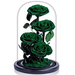 Preserved flowers glass for sale  Delivered anywhere in USA 