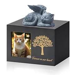 Didibirdi urnes chat d'occasion  Livré partout en France