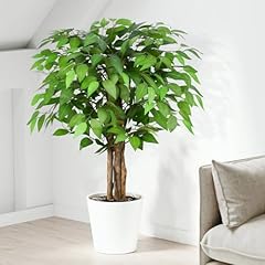 Keeplush 3ft ficus for sale  Delivered anywhere in USA 