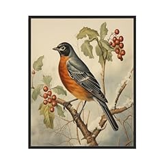 American robin art for sale  Delivered anywhere in USA 