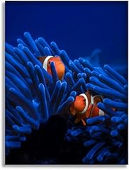 Bathroom wall art for sale  Delivered anywhere in USA 