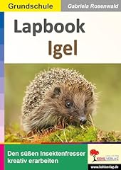 Lapbook igel den gebraucht kaufen  Wird an jeden Ort in Deutschland