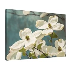 Stvyukl spring dogwood for sale  Delivered anywhere in USA 