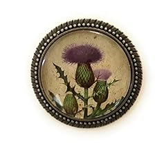Scottish thistle pin for sale  Delivered anywhere in USA 