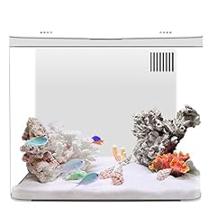 Acquario galloni kit usato  Spedito ovunque in Italia 