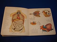 Petit atlas histoire d'occasion  Livré partout en France