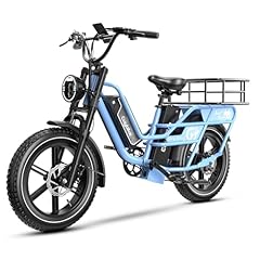 Dual battery electric for sale  Delivered anywhere in USA 