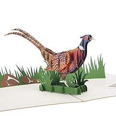 Cardology pheasant shooting for sale  Delivered anywhere in UK