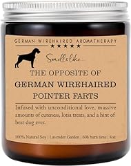 German wirehaired candle for sale  Delivered anywhere in USA 