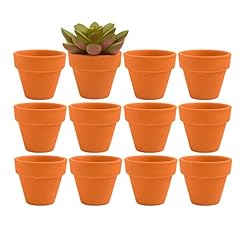 Mini terracotta clay for sale  Delivered anywhere in USA 