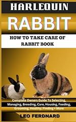 Harlequin rabbit. take for sale  Delivered anywhere in USA 