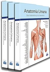 Anatomia umana. cofanetto. usato  Spedito ovunque in Italia 