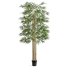 Maia shop 71in for sale  Delivered anywhere in USA 
